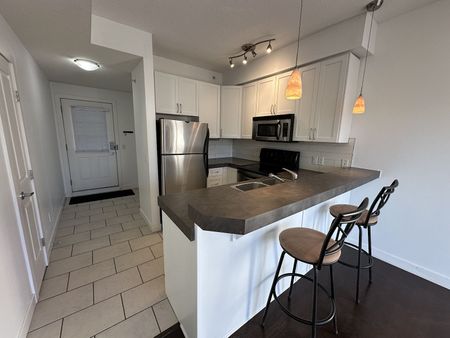 404 - 1108 15 Street Southwest, Calgary - Photo 4