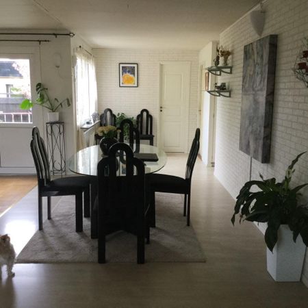 Betulastigen, Malmö - Photo 4