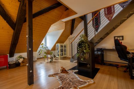 Vaste appartement-galerie dans le centre-ville d'Aarberg - Foto 4