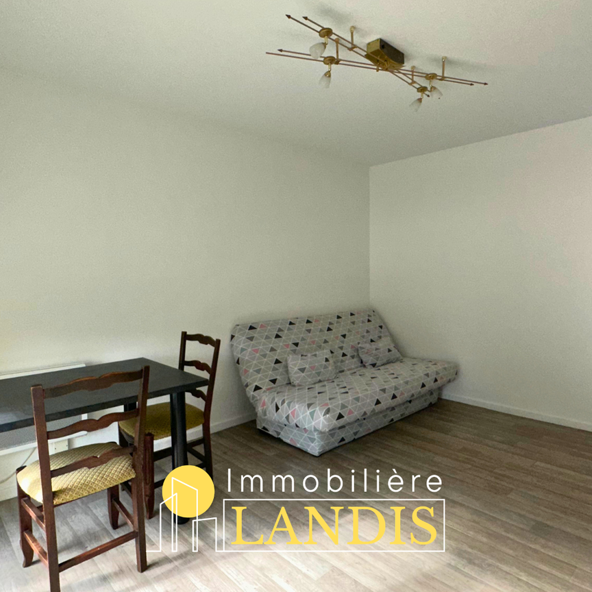 Location Appartement 1 pièce 27m² SELESTAT 67600 - Photo 1