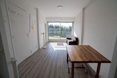 Location Appartement 1 pièce 23m² BOIS GUILLAUME 76230 - Photo 4