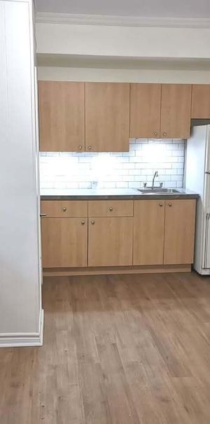 Un Magnifique Et Lumineux - Photo 1