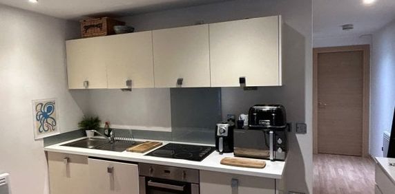 St. Pauls Place, Birmingham, B3, Property for rent - Photo 2