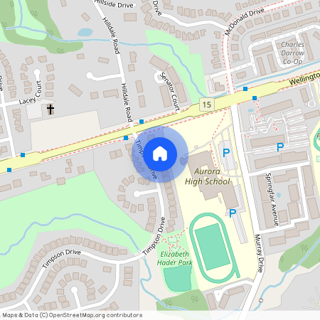 19 Timpson Drive, Aurora