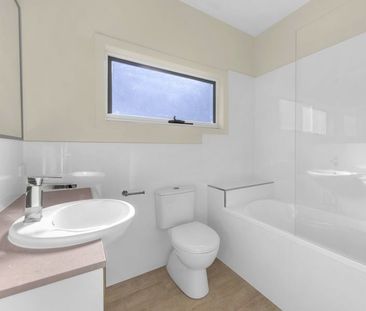 Carmela on Cintra - Photo 3