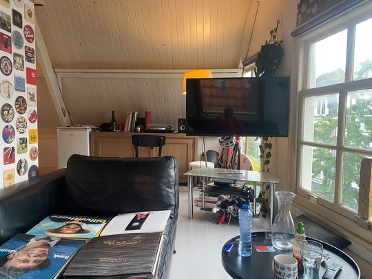 3-kamer appartement te huur in hartje Utrecht voor studenten - Photo 1