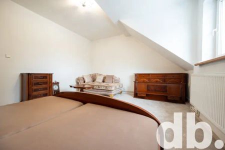 Pronájem bytu 1+1 45 m - Fotografie 5