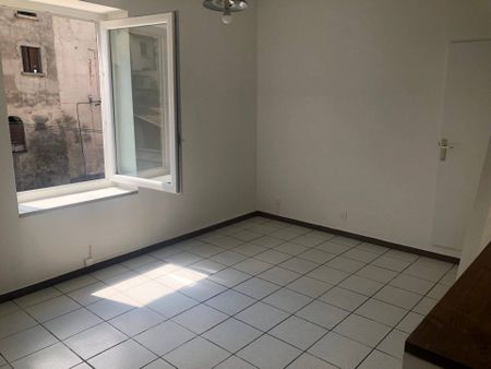 Location appartement 1 pièce 25 m² à Vienne (38200) - Photo 3