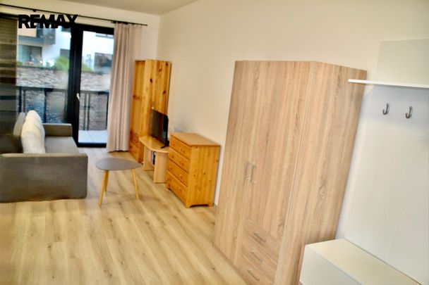 Pronájem bytu 1+kk v družstevním vlastnictví 38 m², Mladá Boleslav - Photo 1