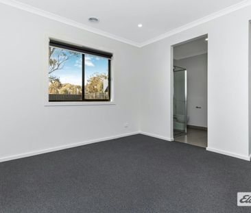 Quality Family Living in Huntly - Photo 1