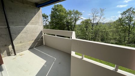 Urbanes Wohnen im Grünen: 2019 sanierte 3-Zimmerwohnung in Muttenz - Photo 2