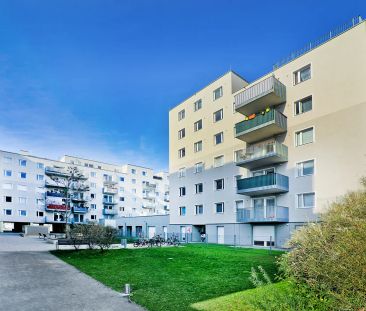 Viola Park – Ihre Wohlfühloase am Laaer Berg: 2-Zimmer-Wohnung mit ... - Photo 5