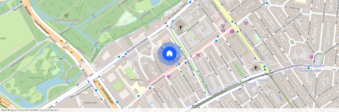 Bezuidenhout-Midden, 2595 EM, Wilhelminastraat, Den Haag