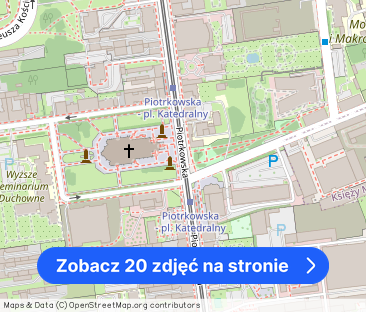 Niezwykły apartament na Piotrkowskiej, winda - Zdjęcie 1