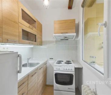 Pronájem bytu 1+1 s lodžií a dvěma úložnými prostory, Bílina – Alšo... - Photo 2