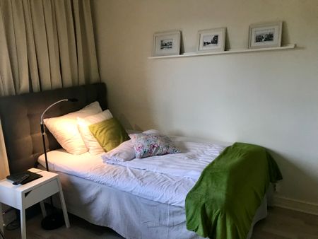 Drottninggatan, Helsingborg - Foto 4