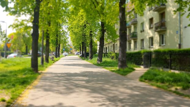 Gliwice, Plac Grunwaldzki, Aleja Adama Mickiewicza - Photo 1