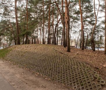 Legionowo, Zygmunta Krasińskiego - Photo 6