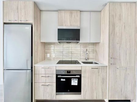 For Lease - 30 Dreamers Way Unit# 458, Toronto, Ontario - Photo 3