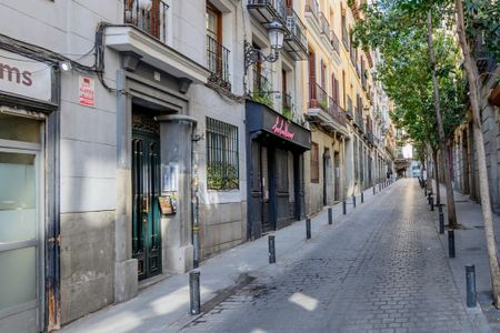 Calle de los Relatores, Madrid, Community of Madrid 28012 - Photo 4