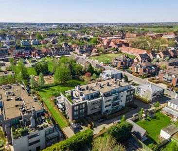 Brouwerijstraat 13, 2320, Hoogstraten - Photo 3