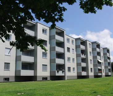 Schöne helle 3.5-Zimmer-Wohnung in Oftringen! - Foto 3