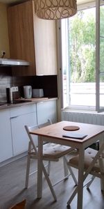 Location Appartement 2 pièces 25m² AVON 77210 - Photo 3