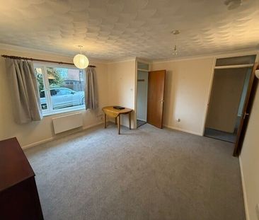 Wheatfields - Photo 2