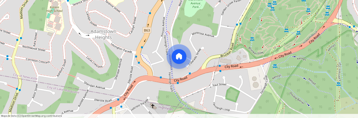 7 Tremont Avenue, NSW 2289, Adamstown Heights