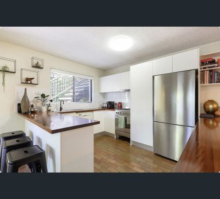 31 Katharina Street, Noosa Heads, Qld 4567 - Photo 4