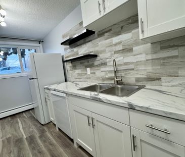 AMAZING newly reno'd Apartment in Lacombe! CATS OK! - Photo 6