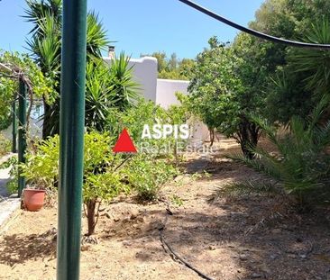 Μονοκατοικία για ενοικίαση Πόρτο Ράφτη (Μαρκόπουλο) - Photo 6