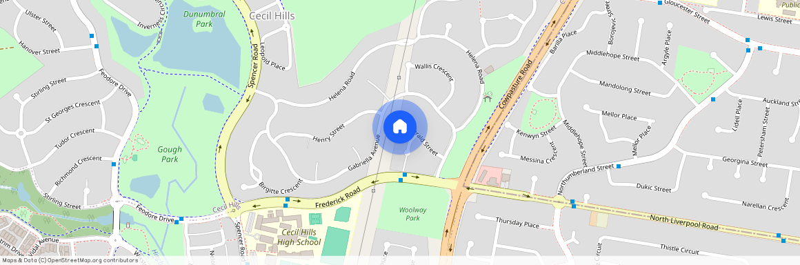 16 Gerald Street, NSW 2171, Cecil Hills