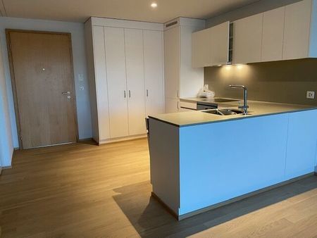 Naturnahes Wohnen direkt an der Limmat - Foto 3