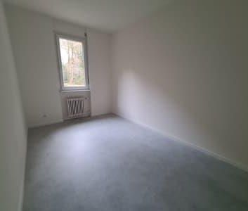 Prima locazione – Nuovo 3.5 locali con balcone - Foto 2