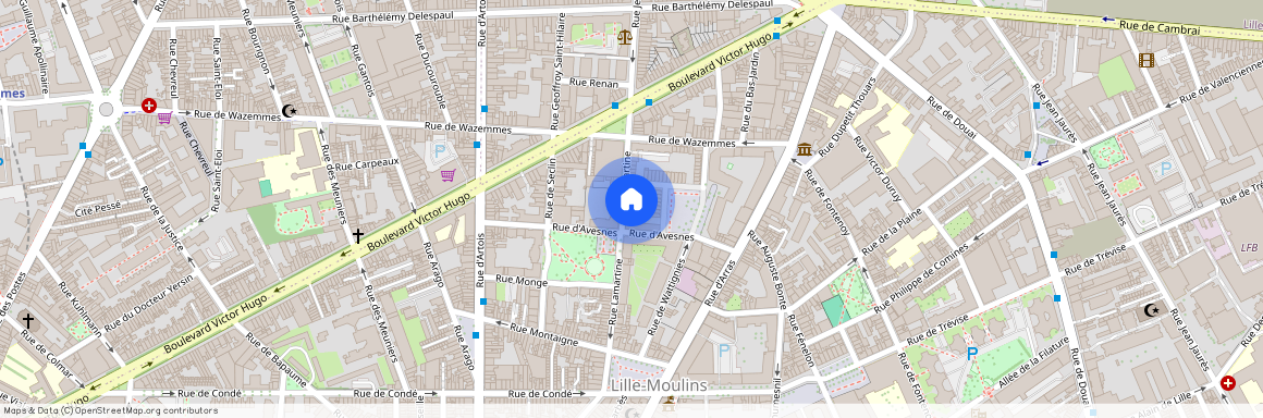 13 Bis Rue Lamartine, 59000, Lille