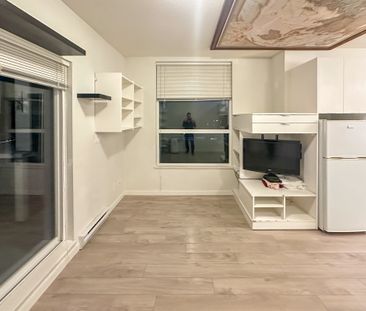 Bachelor Suite For Rent In Surrey/ Pets Allowed. - Photo 1