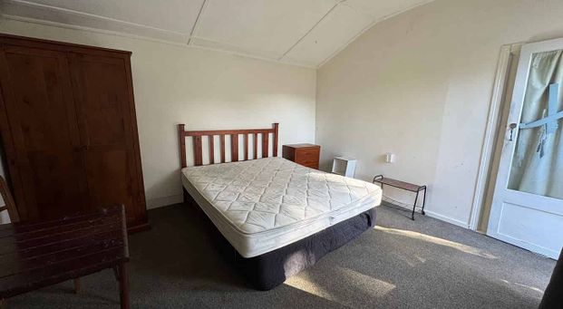 Large bedroom with kitchen in Mt Vic - Photo 1