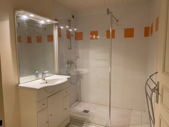 Location Appartement 1 pièce 40m² JARNAC 16200 - Photo 1