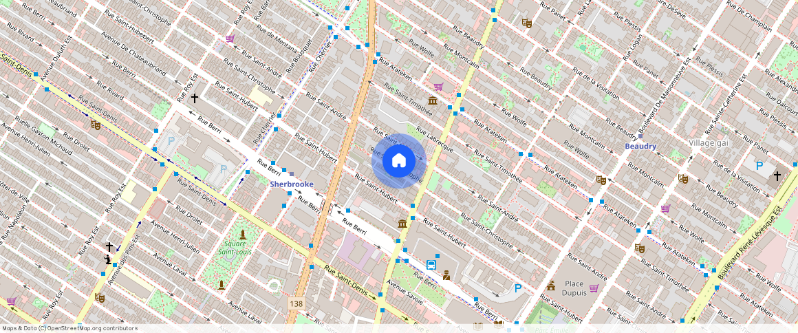 2051 Rue Saint-Christophe, Ville-Marie, Ville-Marie, Ile de Montréal, H2L 1N8