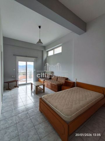 Studio/Γκαρσονιέρα για ενοικίαση Νεοχωρόπουλο (Ιωάννινα) - Φωτογραφία 2