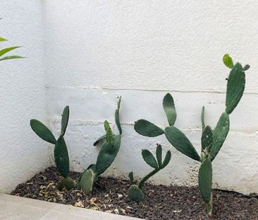 3 room luxury House for rent in Palma de Mallorca, Balearic Islands - Photo 6