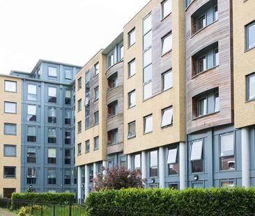 Bronze Studio Lower Level - Photo 1