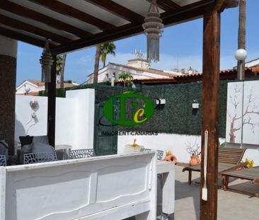 Bungalow, newly renovated, with 1 bedroom and very large terrace - Photo 4