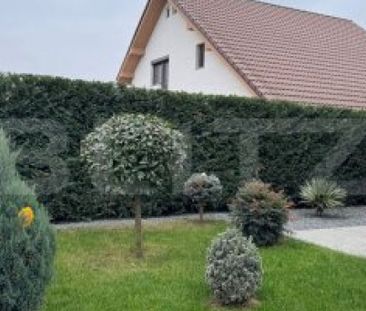 Casa cu 3 camere, curte proprie, Grigorescu - Photo 6