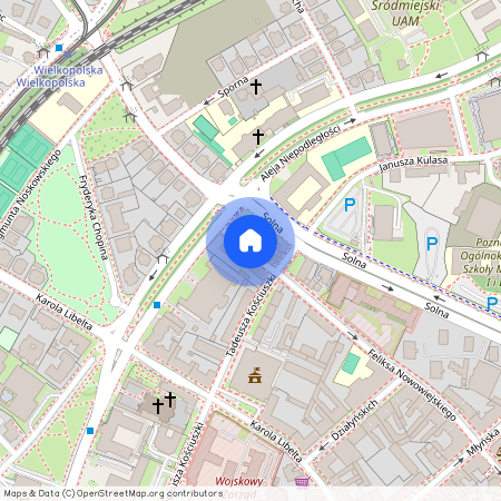 ul. Feliksa Nowowiejskiego, Centrum, Stare Miasto, Poznań, wielkopolskie