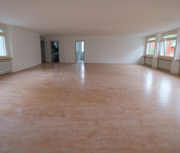 Sehr grosse 4-Zimmer-Loftwohnung (218m2) in ruhiger Umgebung - Photo 3