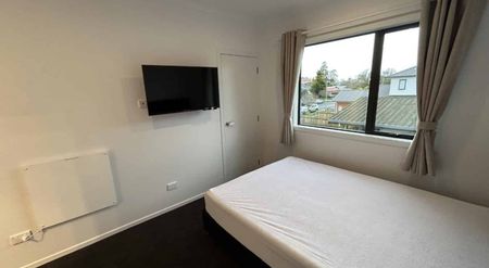 Highlight on Hibiscus - Photo 3