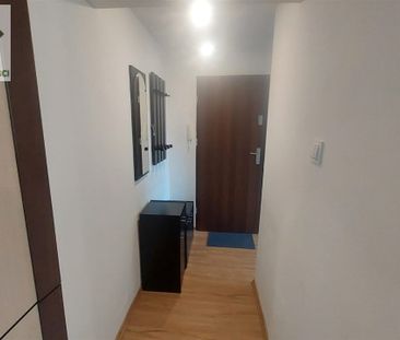 Mysłowice, Wielka Skotnica - Zdjęcie 4