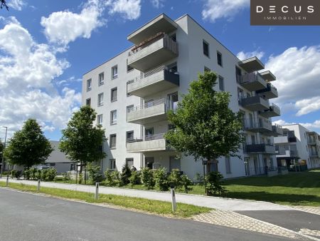 | GROSSER GARTEN RUND 38m² | ULMENHOF | 2-ZIMMER - Photo 3